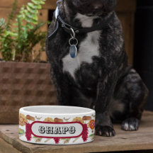 New Mexico Rode Chili Pinõn Zia Heet Luchtballon