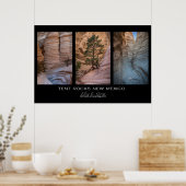 New Mexico Tent Rocks Poster (Keuken)