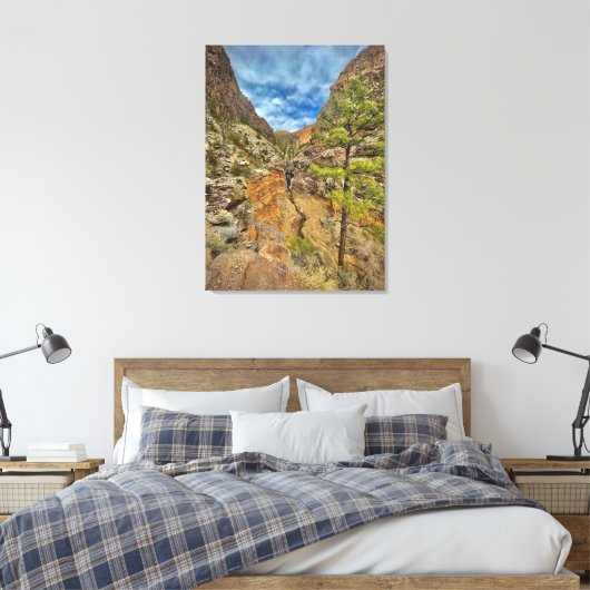 New Mexico Waterfall Canvas Afdruk (Insitu (Slaapkamer))