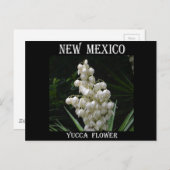 New Mexico Yucca Flower Briefkaart (Voorkant / Achterkant)