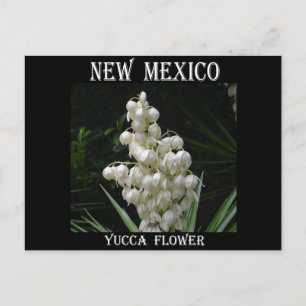 New Mexico Yucca Flower Briefkaart