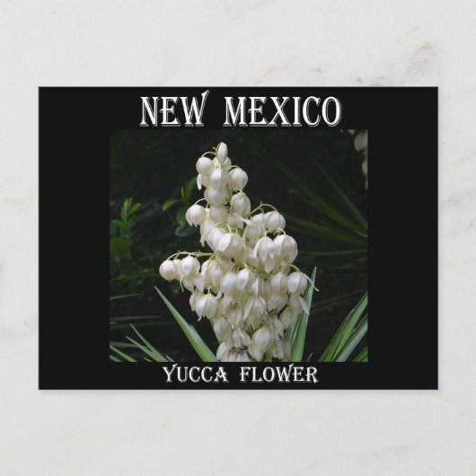 New Mexico Yucca Flower Briefkaart (Voorkant)