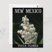 New Mexico Yucca Flower Briefkaart (Voorkant / Achterkant)