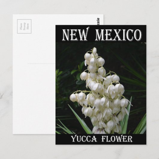 New Mexico Yucca Flower Briefkaart (Voorkant / Achterkant)