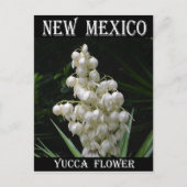 New Mexico Yucca Flower Briefkaart (Voorkant)