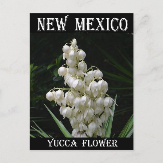 New Mexico Yucca Flower Briefkaart (Voorkant)