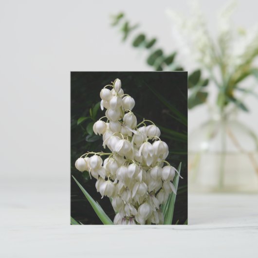 New Mexico Yucca Flower Briefkaart (Staand voorkant)