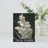 New Mexico Yucca Flower Briefkaart (Staand voorkant)