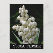 New Mexico Yucca Flower Briefkaart (Voorkant)