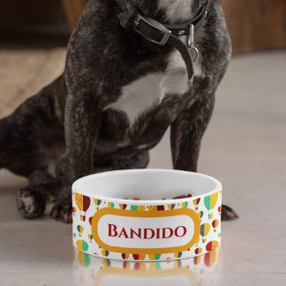 New Mexico Zia luchtballonnen Voerbakje