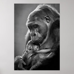 New Moeder Gorilla Poster