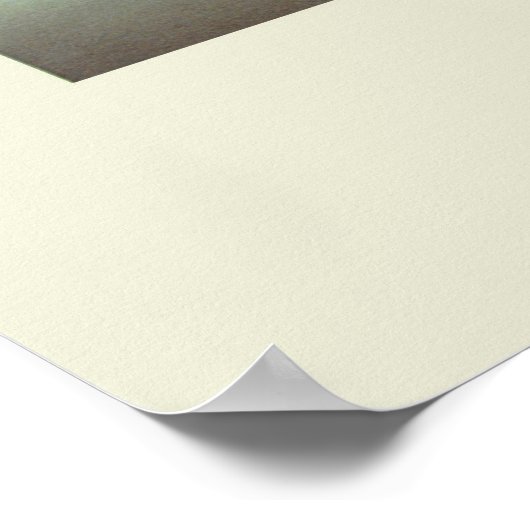 New Orleans 1885 Poster (Hoek)