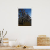 New Orleans Bayou Poster (Keuken)