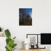 New Orleans Bayou Poster (Thuiskantoor)