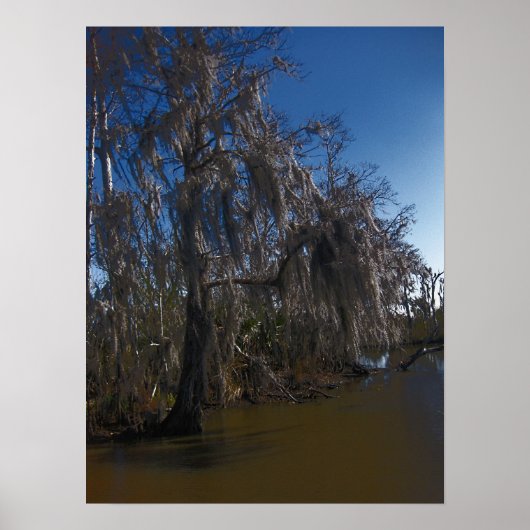 New Orleans Bayou Poster (Voorkant)
