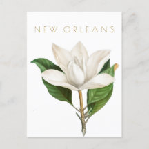  New Orleans bloemen reizen midden eeuw
