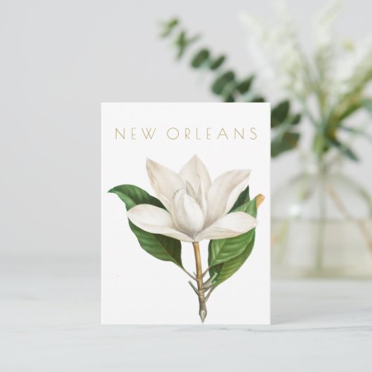  New Orleans bloemen reizen midden eeuw Briefkaart (Staand voorkant)