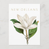  New Orleans bloemen reizen midden eeuw Briefkaart (Voorkant)