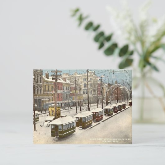 New Orleans Canal St Snow 1895 Briefkaart (Staand voorkant)