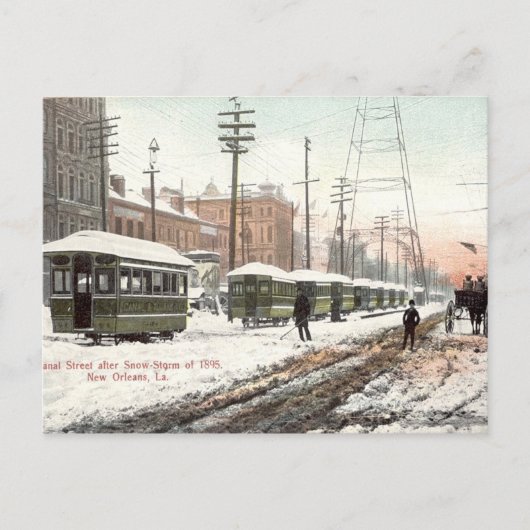 New Orleans Canal St Snow 1895 Briefkaart (Voorkant)