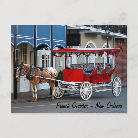 New Orleans Carriage Ride Briefkaart (Voorkant)