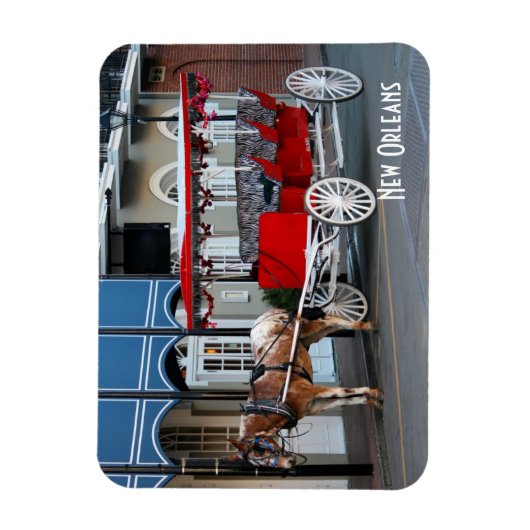 New Orleans Carriage Ride Magneet (Verticaal)