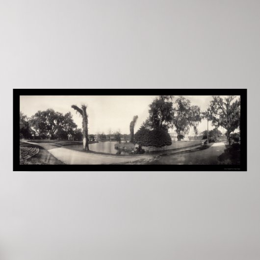 New Orleans City Park Photo 1909 Poster (Voorkant)