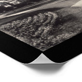 New Orleans City Park Photo 1909 Poster (Hoek)