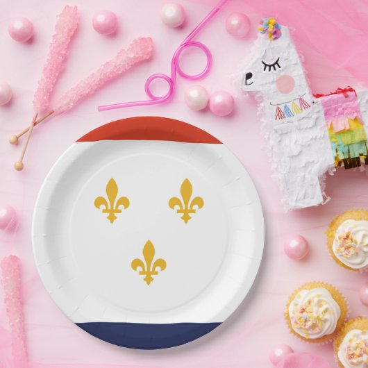 New Orleans City vlag Papieren Bordje (Feest)