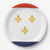 New Orleans City vlag Papieren Bordje (Voorkant)