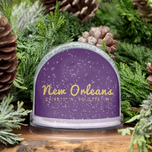 New Orleans Coordinates Sneeuwbol (Winter)