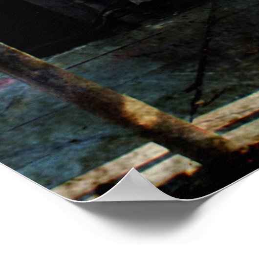 New Orleans door Poster (Hoek)