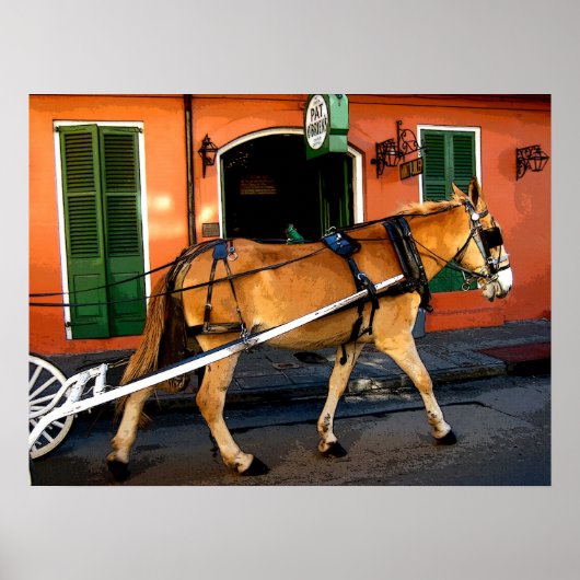 New Orleans French Quarter Carriage Mule Print (Voorkant)
