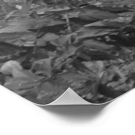 New Orleans Gargoyle Poster (Hoek)