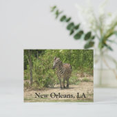 New Orleans, LA Briefkaart (Staand voorkant)