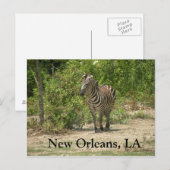 New Orleans, LA Briefkaart (Voorkant / Achterkant)