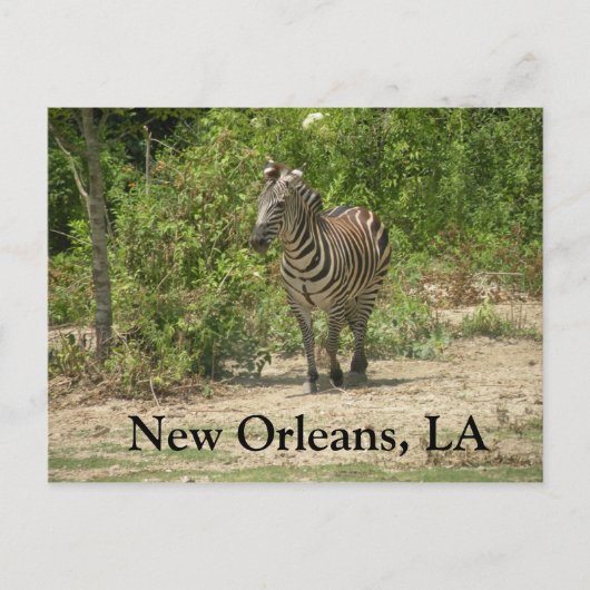 New Orleans, LA Briefkaart (Voorkant)