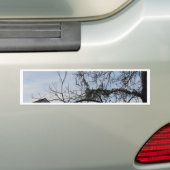 New Orleans Lifestyle Bumpersticker (Op auto)