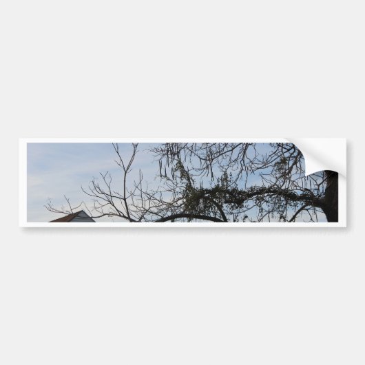 New Orleans Lifestyle Bumpersticker (Voorkant)
