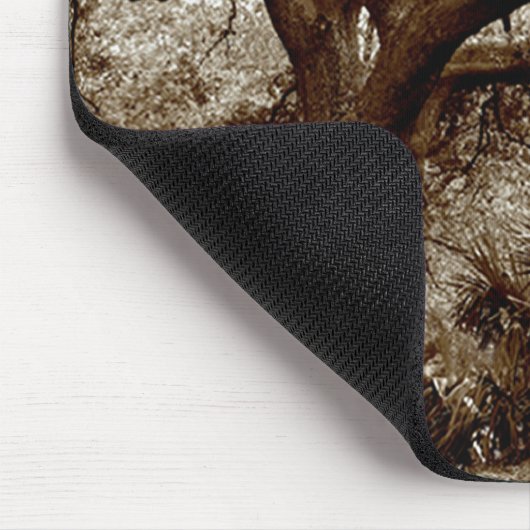 New Orleans Live Oak Trees Muismat (Hoek)