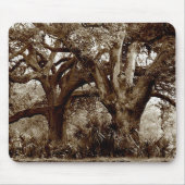 New Orleans Live Oak Trees Muismat (Voorkant)