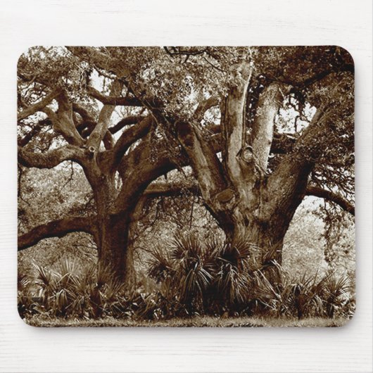 New Orleans Live Oak Trees Muismat (Voorkant)