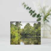 New Orleans, Louisiana, bayou, Briefkaart (Staand voorkant)