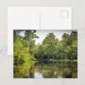 New Orleans, Louisiana, bayou, Briefkaart (Voorkant / Achterkant)
