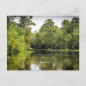 New Orleans, Louisiana, bayou, Briefkaart (Voorkant)