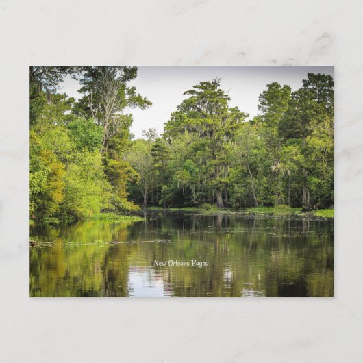 New Orleans, Louisiana, bayou, Briefkaart (Voorkant)