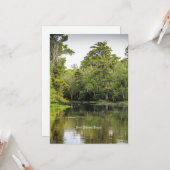 New Orleans, Louisiana, bayou, Kaart (Voorkant / Achterkant in situ)