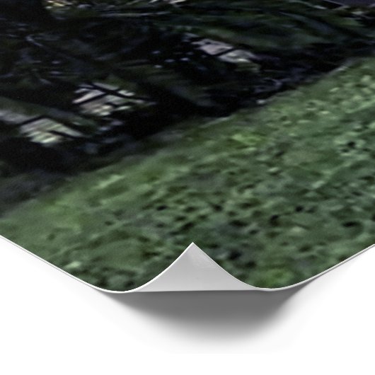 New Orleans, Louisiana Poster (Hoek)