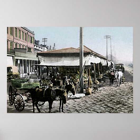 New Orleans, Louisiana Poster (Voorkant)