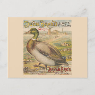  New Orleans Louisiana Retro-melasse Briefkaart
